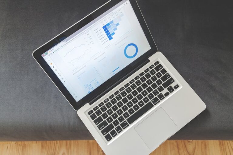 everysize - Overhead view of a laptop showing data visualizations and charts on its screen.