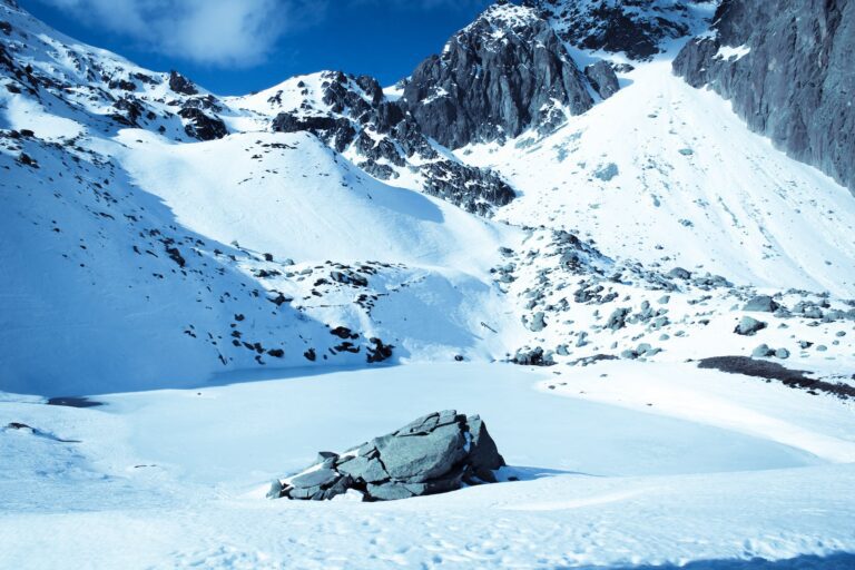 Omas Holunderblütengelee mit einem Hauch der Türkei: Ein traditionelles Rezept mit einem türkischen Twist!